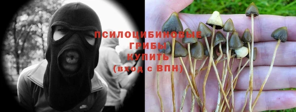 jwh Горно-Алтайск