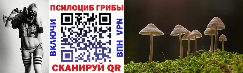 гидра   Чита  Псилоцибиновые грибы MAGIC MUSHROOMS 